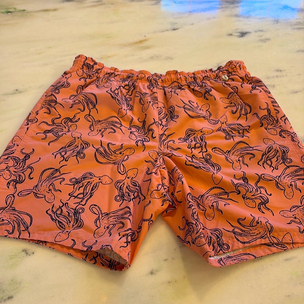 Eddie Bauer Swim Trunks, Size Large